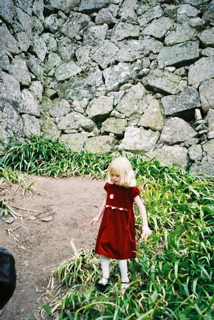FL010002